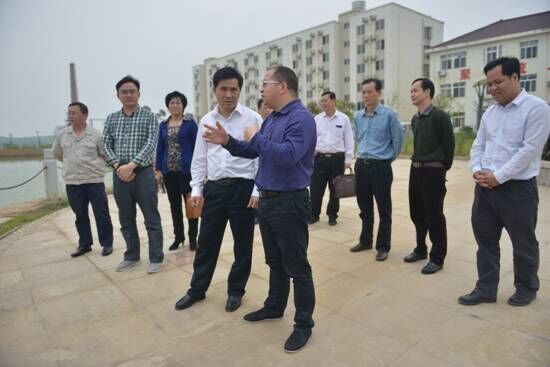 博白縣長羅培球來廣西銀億公司調研