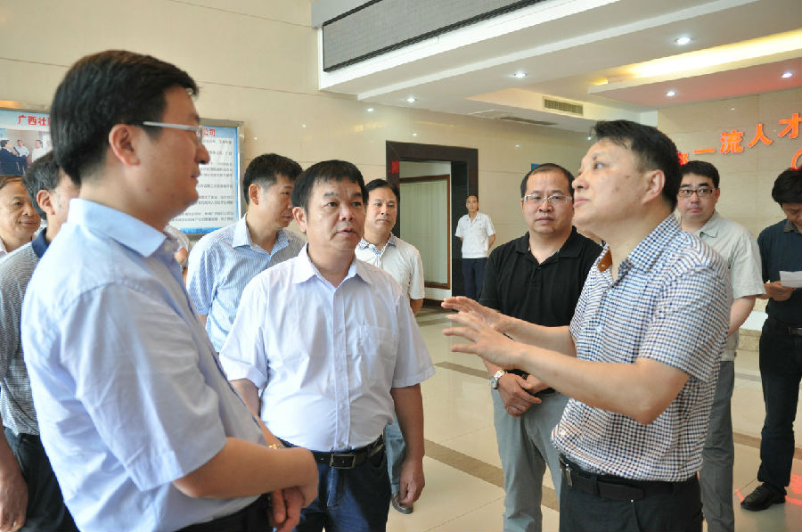 國務院督察組來廣西銀億公司視察