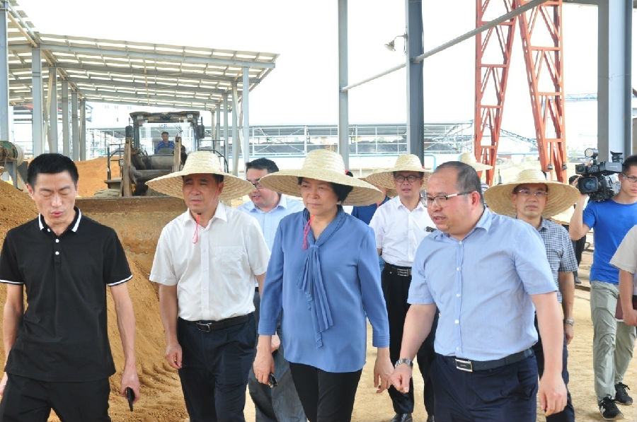 自治區黨委常委、副主席嚴植嬋一行蒞臨廣西銀億調研